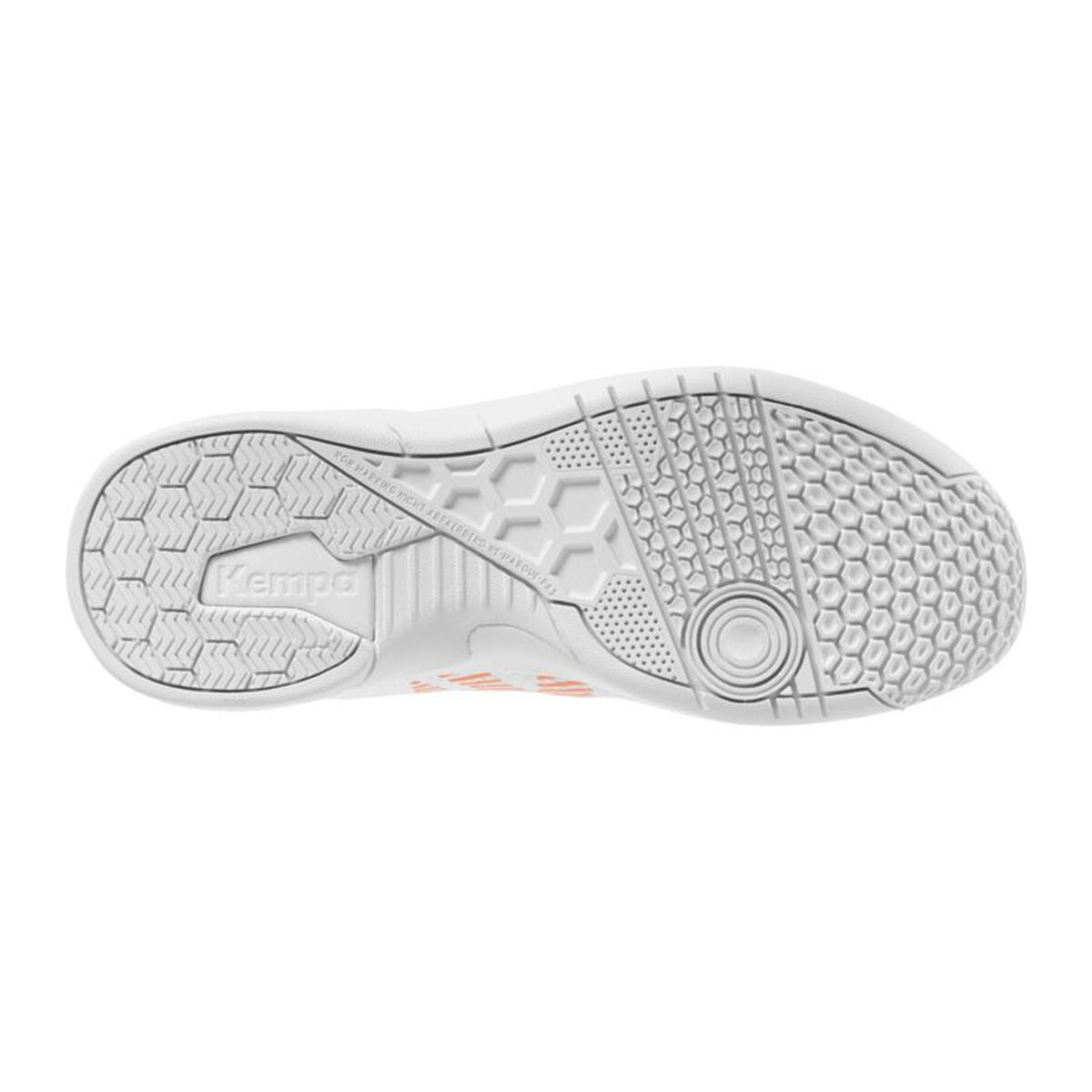 V2H759206A6E197D4C3BC8E1E6D0F9A60C5R7622749P4